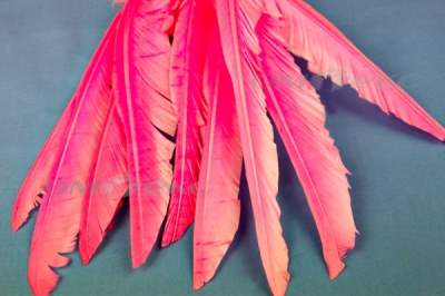 Декоративный Пучок из перьев, перо 25см/розовый - купить в Кызыле. Цена: 14.40 руб.
