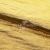 Текстильный материал "Диско"#1805 с покрытием РЕТ, 40гр/м2, 100% полиэстер, цв.5-золото - купить в Кызыле. Цена 412.36 руб.