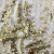 Трикотажное полотно, Сетка с пайетками, шир.130 см, #315, цв.-белый/золото - купить в Кызыле. Цена 693.39 руб.