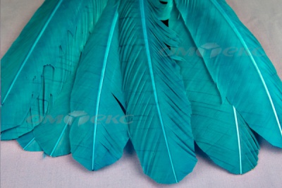 Декоративный Пучок из перьев, перо 24см/голубой - купить в Кызыле. Цена: 12.19 руб.