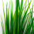 Трава искусственная -2, шт (осока 41см/8 см)				 - купить в Кызыле. Цена: 104.57 руб.