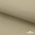 Ткань подкладочная TWILL 230T 14-1108, беж светлый 100% полиэстер,66 г/м2, шир.150 cм - купить в Кызыле. Цена 90.59 руб.
