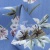 Плательная ткань "Фламенко" 12.1, 80 гр/м2, шир.150 см, принт растительный - купить в Кызыле. Цена 241.49 руб.