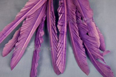 Декоративный Пучок из перьев, перо 25см/фиолетовый - купить в Кызыле. Цена: 12.19 руб.