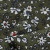 Плательная ткань "Фламенко" 11.2, 80 гр/м2, шир.150 см, принт растительный - купить в Кызыле. Цена 259.21 руб.