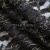 Кружевное полотно XD LACE 1-4, 80 гр/м2, шир.150см, цвет чёрный - купить в Кызыле. Цена 245.94 руб.